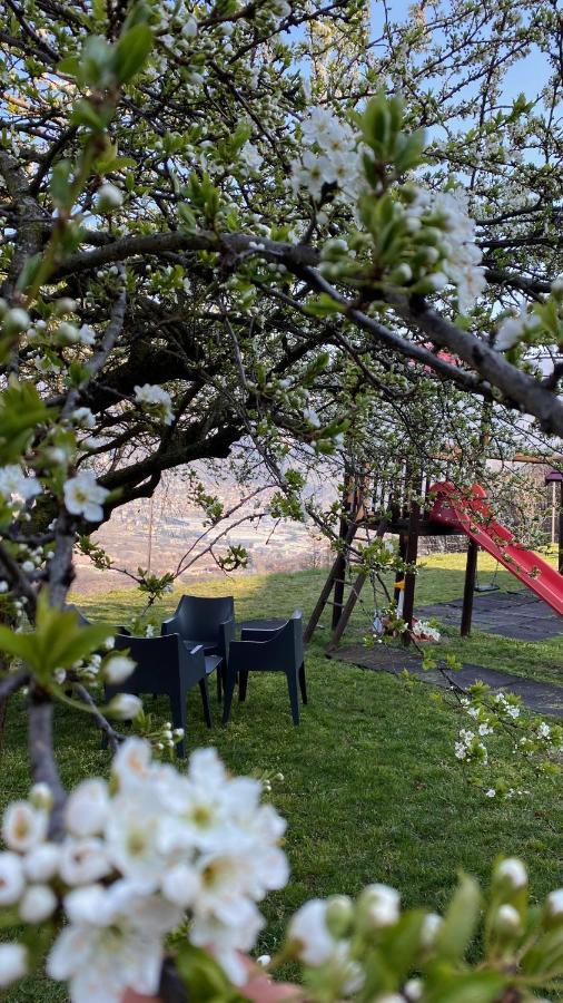 Villa Agritur Maso Carpenè à Rovereto  Extérieur photo