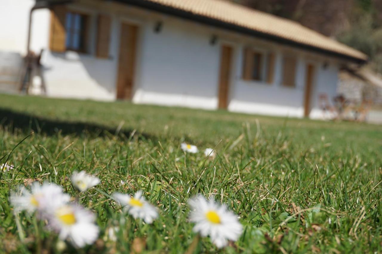 Villa Agritur Maso Carpenè à Rovereto  Extérieur photo